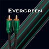 Audioquest Evergreen