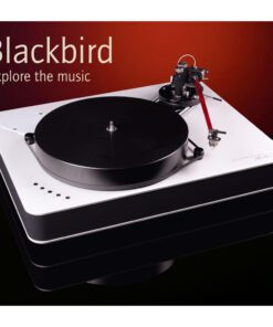 DR Feickert Blackbird turntable